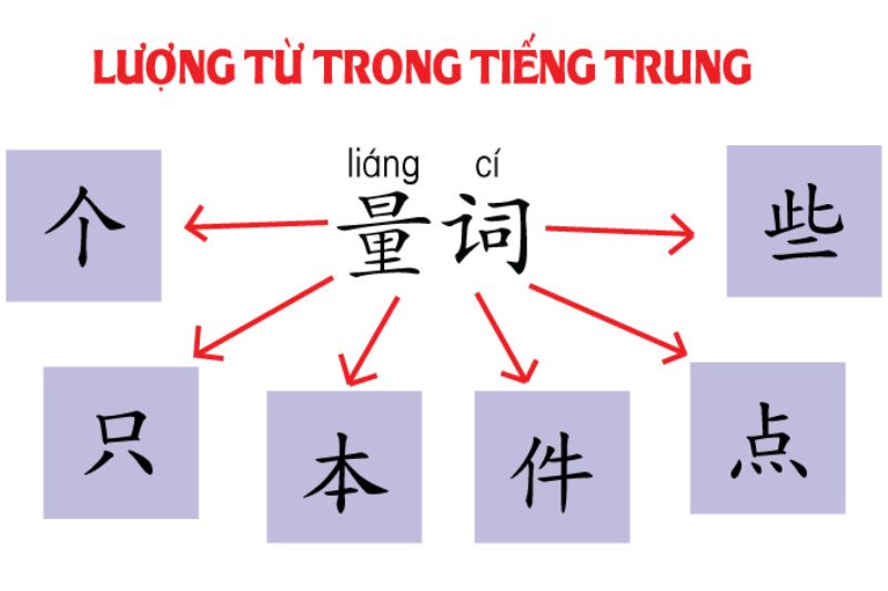 các lượng từ thường dùng trong tiếng trung