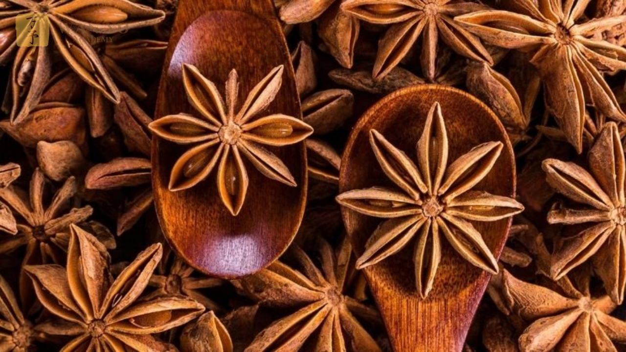 Hồi: Gia Vị Với Hương Thơm Nồng Nàn