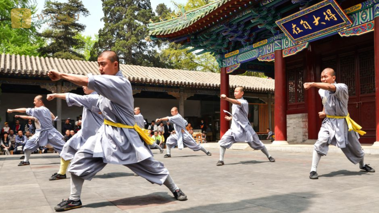 Võ Kungfu từ lâu đã trở thành biểu tượng của văn hóa Trung Hoa – nơi hội tụ sự uyển chuyển của nước chảy, sức mạnh của sấm sét và chiều sâu triết lý phương Đông. Với hàng nghìn năm lịch sử, Kungfu không chỉ là võ thuật để tự vệ mà còn là hành trình tu dưỡng sức khỏe, tâm trí và nhân cách. Nếu bạn đang muốn tìm hiểu: Kungfu là gì? Lợi ích ra sao? Người mới học bắt đầu từ đâu? Các trường phái nào nổi tiếng?